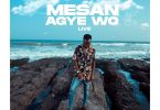 Mesan Agye Wo