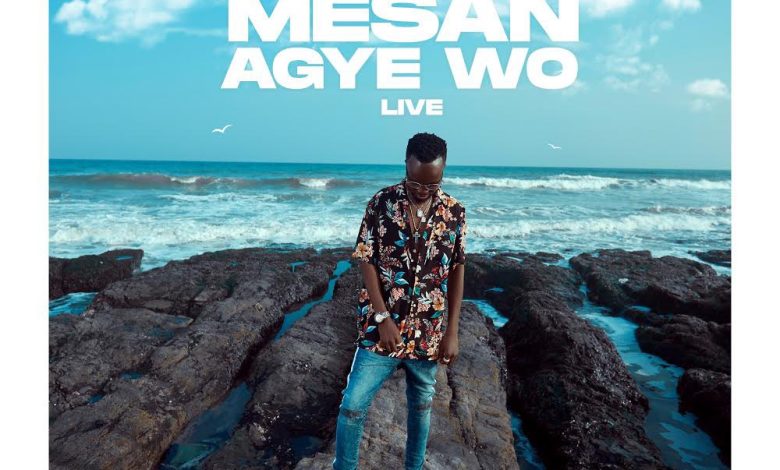 Mesan Agye Wo