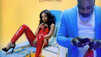 Elephant Man – She Dweet (Prod. by Animal House)