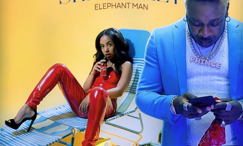 Elephant Man – She Dweet (Prod. by Animal House)