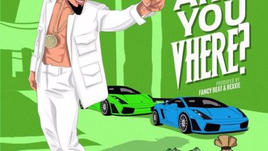 Skiibii-Are-You-Vhere