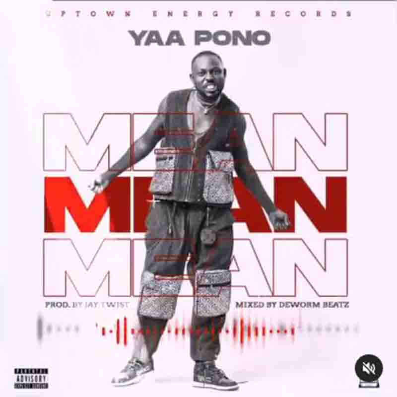 Yaa Pono - Mean (Prod. By Jay Twist)