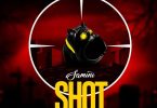 Samini-Shot-Pointed-Shatta-Wale-Diss-768x768