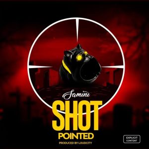 Samini-Shot-Pointed-Shatta-Wale-Diss-768x768