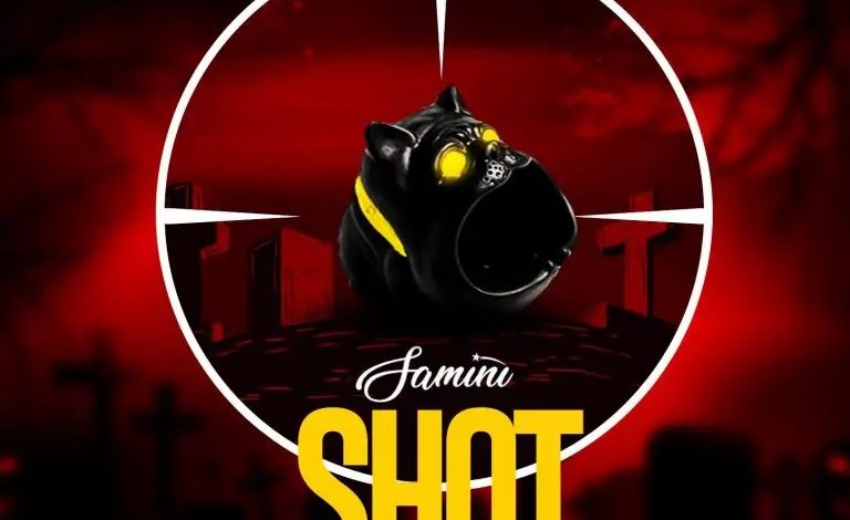 Samini-Shot-Pointed-Shatta-Wale-Diss-768x768