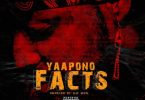 Yaa Pono – Facts (Shatta Wale, Sarkodie Diss)-810x851