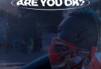 Okese1 – Are You Ok (Prod. By Sector MadeIt)