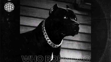 Guru – Who Born Dog (Kuami Eugene Diss)