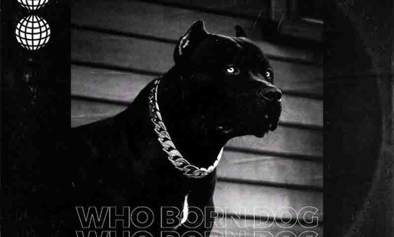Guru – Who Born Dog (Kuami Eugene Diss)