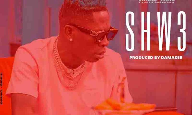 Shatta Wale - Shw3 (Prod By DaMaker)