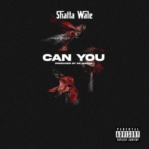 Shatta Wale – Can You (Prod. By Da Maker)
