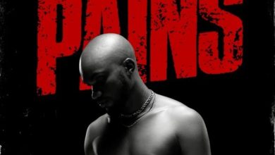 Mr Drew - Pains (Prod by Beatz Vampire)