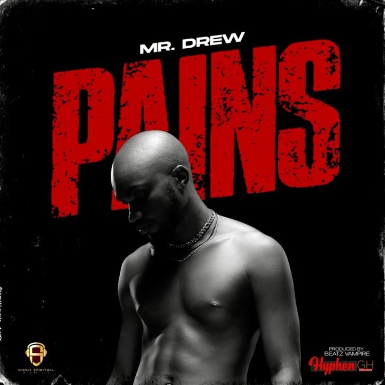 Mr Drew - Pains (Prod by Beatz Vampire)
