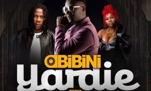 Obibini - Yardie (Remix) Ft Stonebwoy x Akiyana 