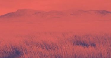 Camidoh - Sinner (Cover)