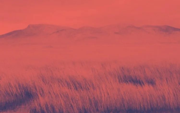 Camidoh - Sinner (Cover)