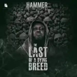 Hammer of The Last Two – Remember Ebony Ft Shatta Wale, Obrafour, Worlasi, Poetress x Abeiku Santana