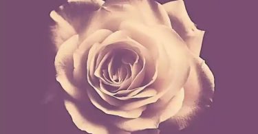 Magnom – Miracle (Prod By Magnom)