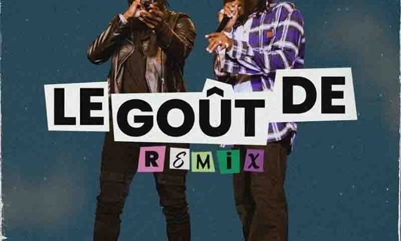Remy Adan - Le Gout De (Remix) ft Stonebwoy