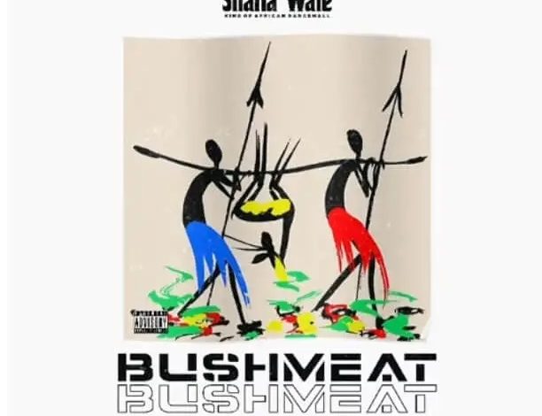 Shatta Wale - Bushmeat (Prod By Paq)