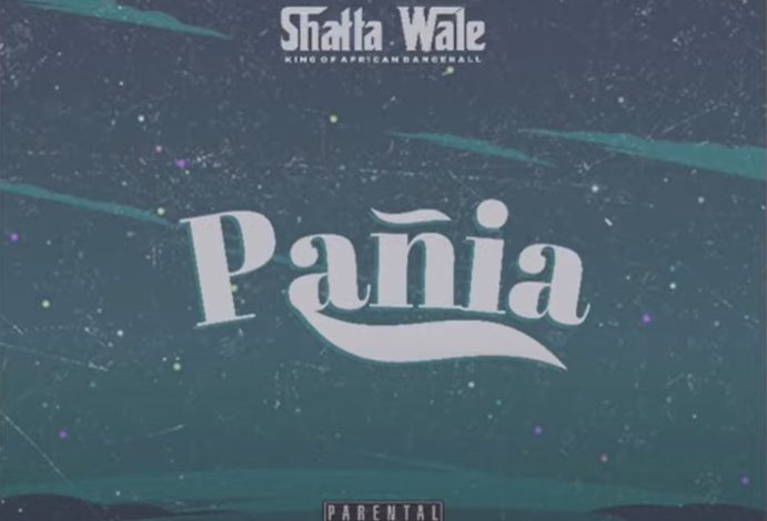 Shatta Wale - Panai