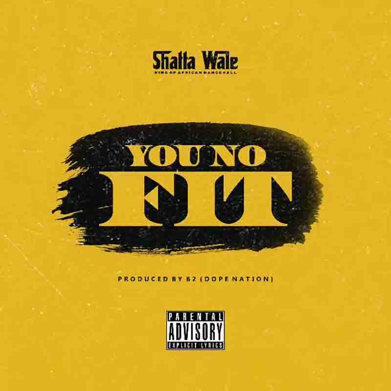 Shatta Wale – You No Fit