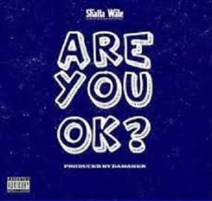 Shatta Wale – Are You Ok