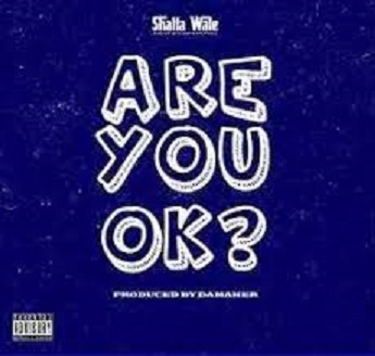 Shatta Wale – Are You Ok