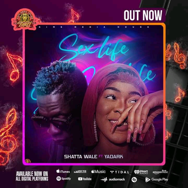 Shatta-Wale-–-Sex-Life-Ft-Yadark-www-oneclickghana-com_-mp3-image.jpg