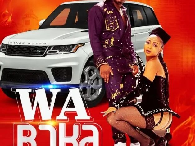 Akuapem Poloo - Wa Boka Ft AMG Armani