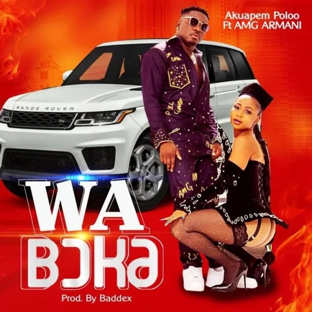 Akuapem Poloo - Wa Boka Ft AMG Armani
