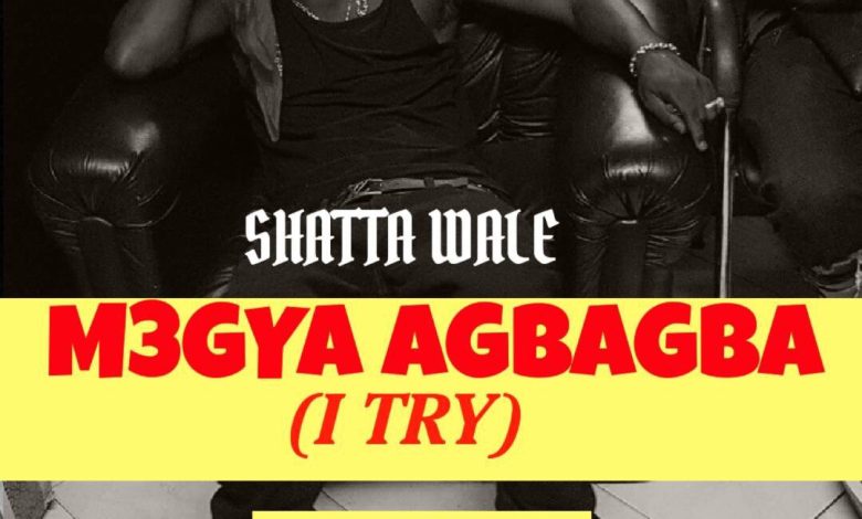 Shatta Wale - M3gya Agbagba (I Try)