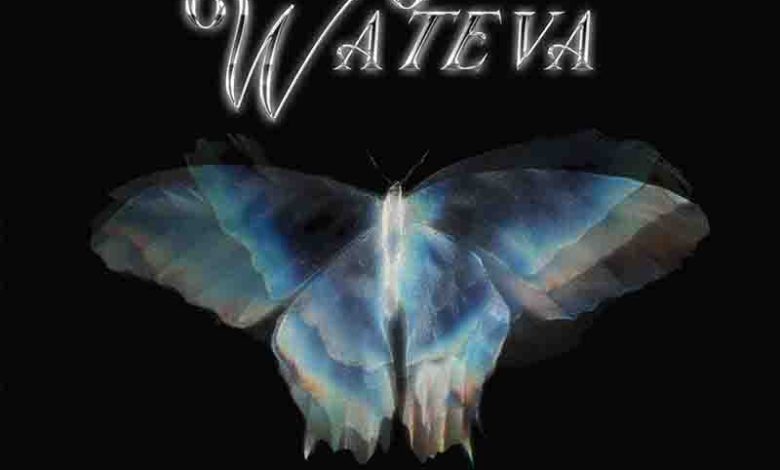 Skillz 8Figure - Wateva ft Kofi Mole