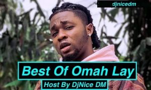 DjNice DM - Best Of Omah Lay Mix