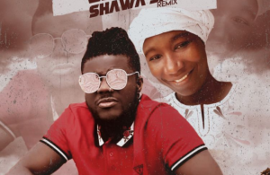 Pope Skinny – What Shawa Say (Cover) ft Cecilia Marfo