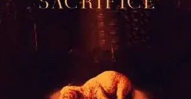 Shatta Wale – Sacrifice