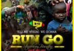 Stonebwoy - Run Go