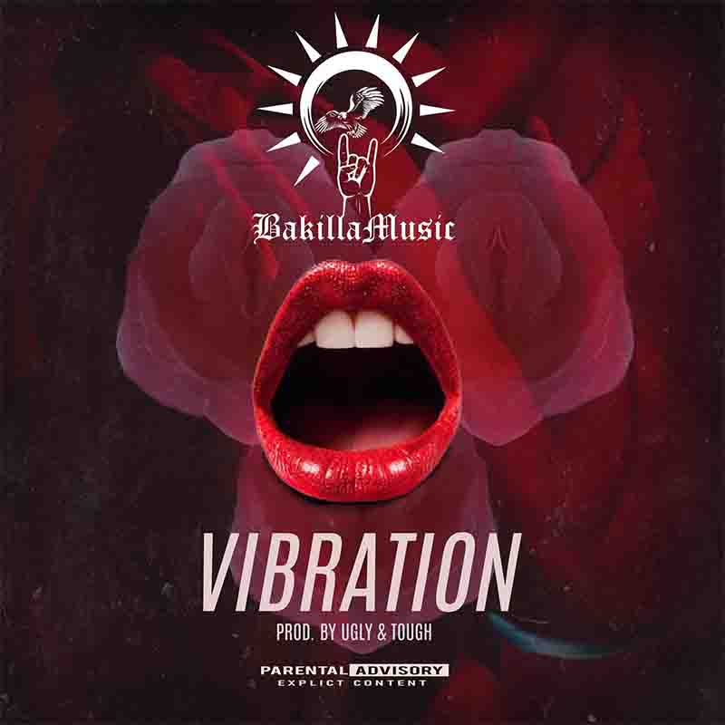 Bakilla - Vibration (Prod by Ugly & Tough)