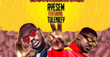 Ayesem - Beans ft Tulenkey