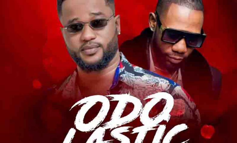 D-Flex - Odo Lastic ft D12