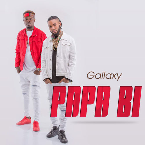Gallaxy - Papa Bi (Prod by WillisBeatz)