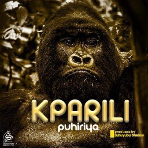 Maccasio – Kparili Puhiriya (Double Tee Diss)