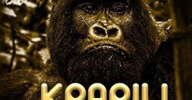 Maccasio – Kparili Puhiriya (Double Tee Diss)