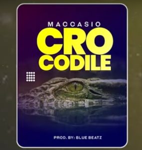 Maccasio - Crocodile