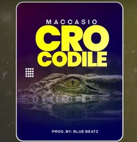 Maccasio - Crocodile