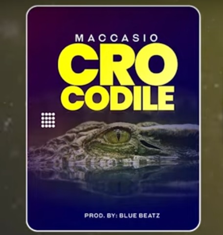 Maccasio - Crocodile