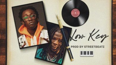 Phronesis - Low Key Ft Stonebwoy