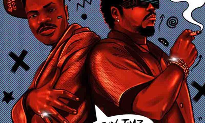 Bad Boy Timz - Skelele ft Olamide