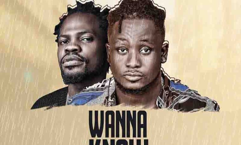 Kweysi Swat, Wanna Know, Fameye,