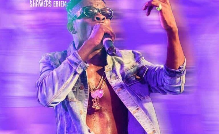 Shatta Wale - Dem Confuse
